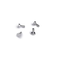 SI-CH132 Slot.it Metric Screws Ergal 2.2x5.3mm Big Head SI-CH132 Slot.it Metric Screws Ergal 2.2x5.3mm Big Head