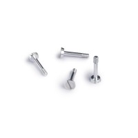 SI-CH134 Slot.it Metric Screws Ergal 2.2x11mm Big Head SI-CH134 Slot.it Metric Screws Ergal 2.2x11mm Big Head