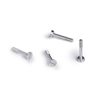 SI-CH135 Slot.it Metric Screws Ergal 2.2x13mm Big Head SI-CH135 Slot.it Metric Screws Ergal 2.2x13mm Big Head